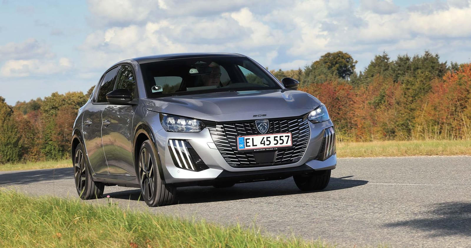 Peugeot E-208